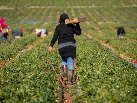 TX immigration lawyer